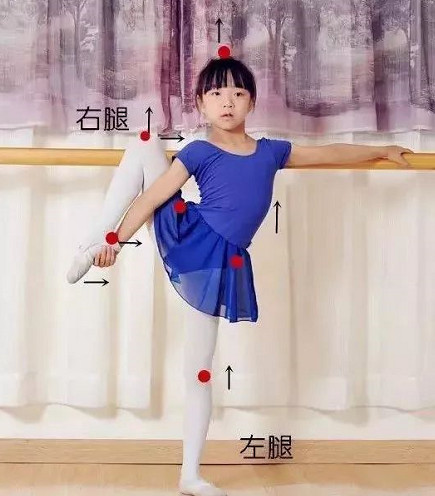 舞蹈课堂「把杆搬旁腿」