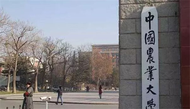 新政策！事实证明，让孩子参加艺术考级就对了！