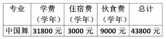 2020年北京市爱莲舞蹈学校招生简章