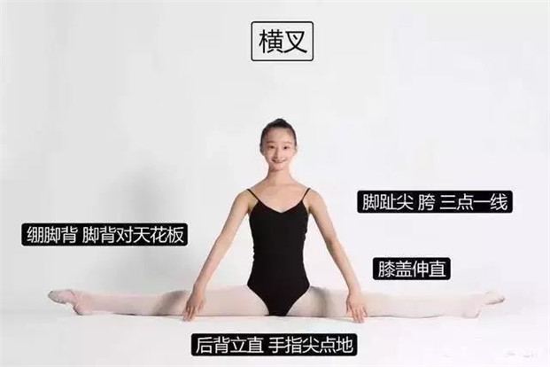 如何在最快的时间里，提高身体软开度？