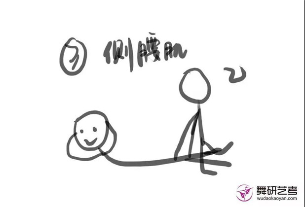 舞研少儿软度小课堂：腰部力量