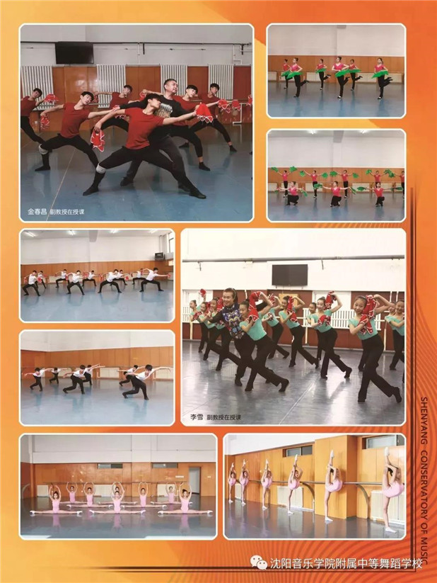2019年沈阳音乐学院附属中等舞蹈学校招生简章