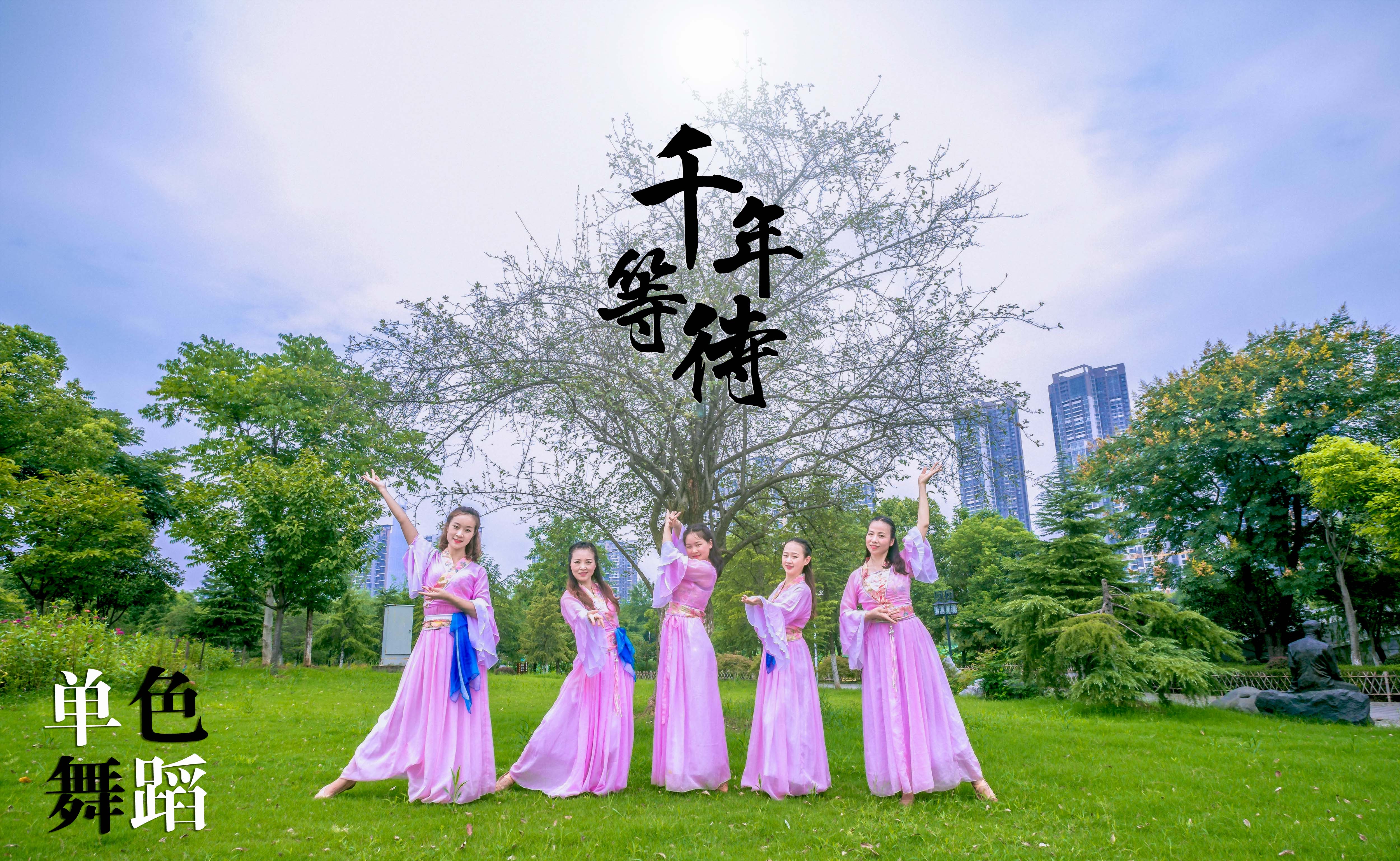 郑州舞蹈培训