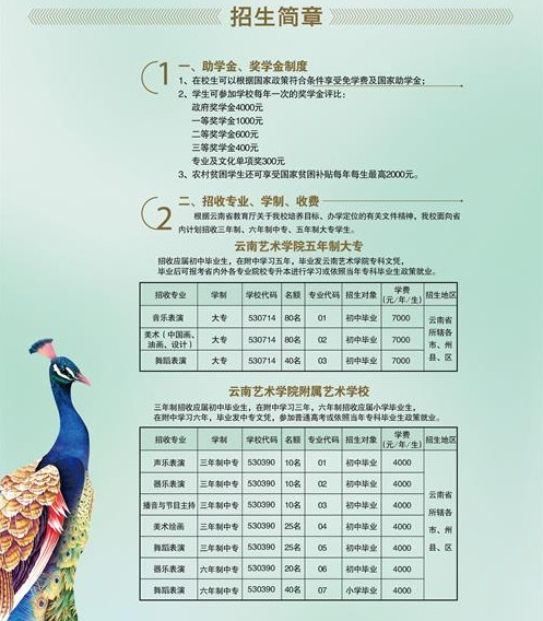 2017年云南艺术学院附属艺术学校招生简章.jpg