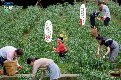 孙莉这背打得也太直了！学舞的人是觉得驼背很辛苦嘛？