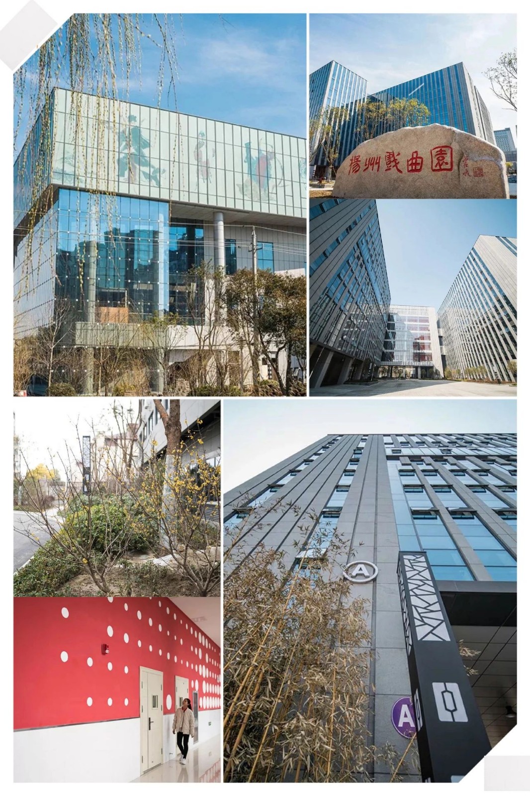 扬州文化艺术学校2020年招生报名进行中