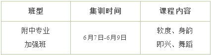 孩子与心仪的舞蹈附中之间，也许只差了一次让专家指导的机会！