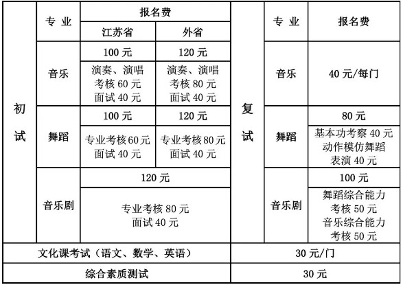 2020年南艺附中招生简章