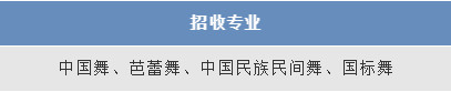 2019年全国舞蹈附中招生专业及考试时间汇总（持续更新）