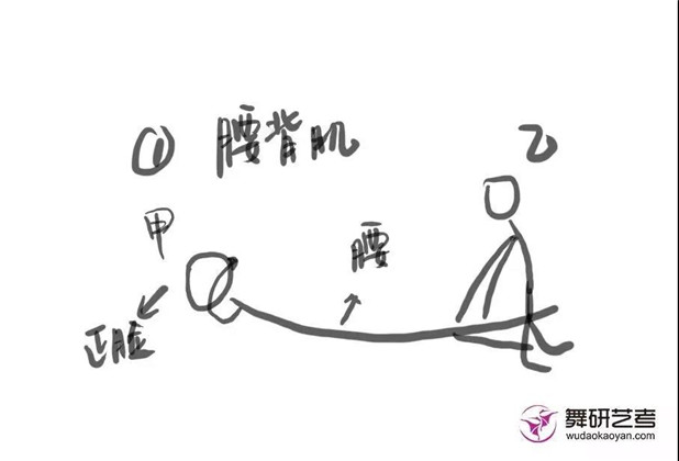 舞研少儿软度小课堂：腰部力量