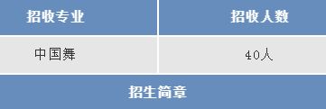 2019年全国舞蹈附中招生专业及考试时间汇总