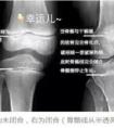 担心自己的孩子不能满足专业舞蹈要求的父母，你清楚这一点吗？