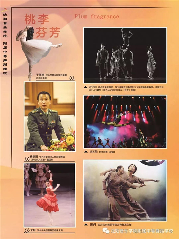 2019年沈阳音乐学院附属中等舞蹈学校招生简章
