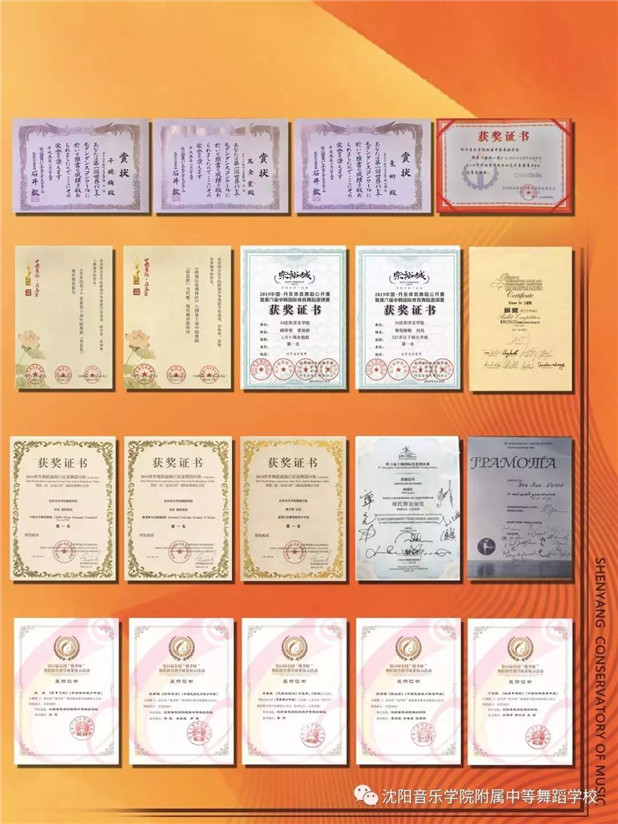 2019年沈阳音乐学院附属中等舞蹈学校招生简章