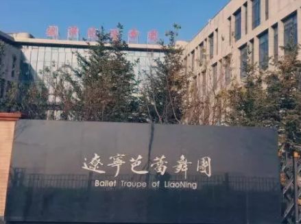 2019年辽宁芭蕾舞团附属芭蕾舞蹈学校全国总初试（校本考场）报名及考试流程