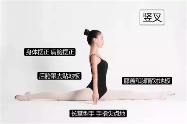 如何在最快的时间里，提高身体软开度？